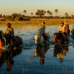 Enabling Business in the Okavango Delta