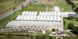 Transforming Farming with Satellite Connectivity and IoT Featured Image